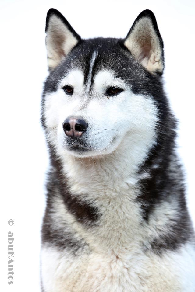 374739 10200296293144774 923540827 n